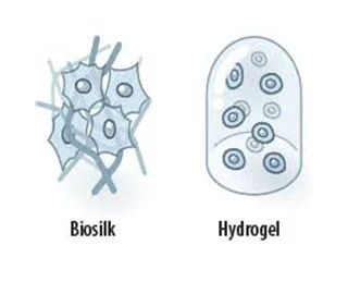 Biosilk