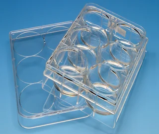 CytoSoft® PDMS substrates