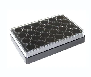 CytoSoft® PDMS substrates